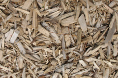 biomass boilers Aldercar